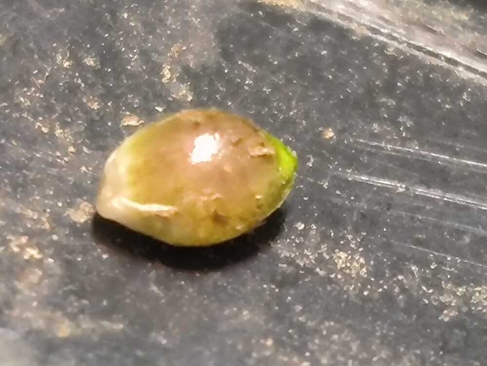 Growreport Bild 5