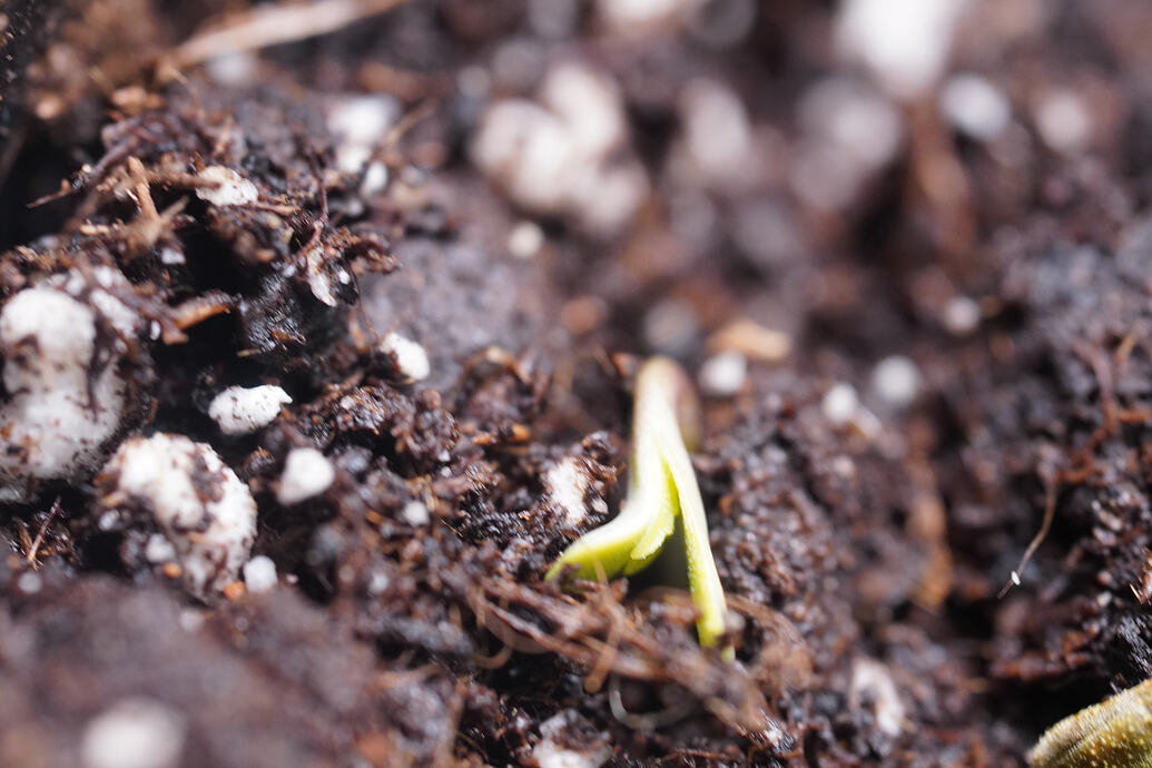 Growreport Bild 9