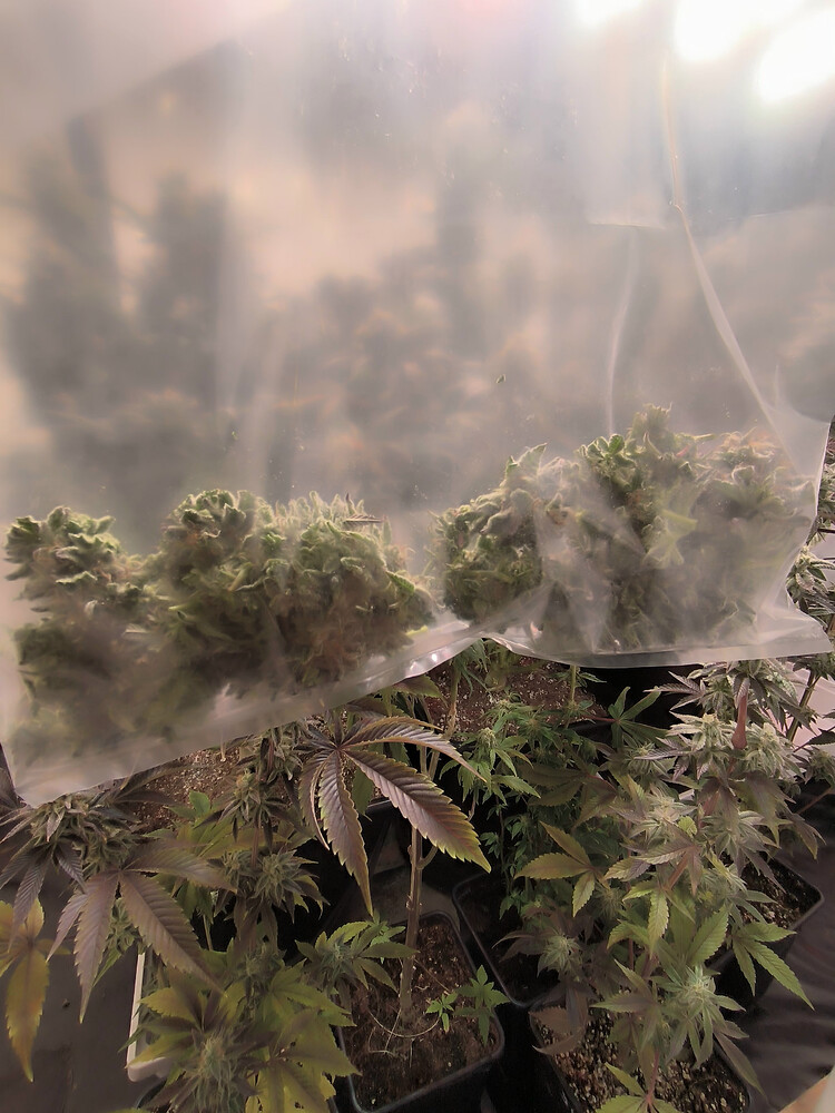 Growreport Bild 5