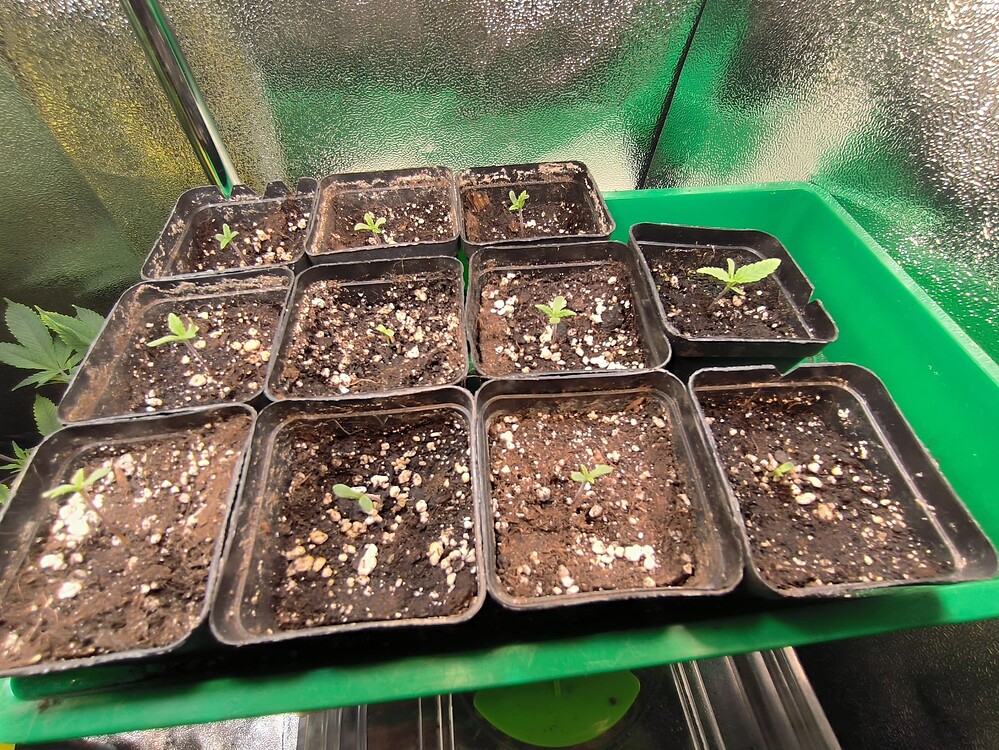 Growreport Bild 12
