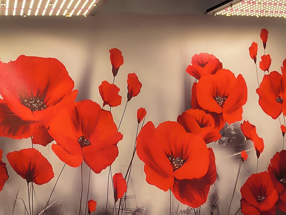 Ein Wandbild mit vielen roten Mohnblumen auf grauem Hintergrund.