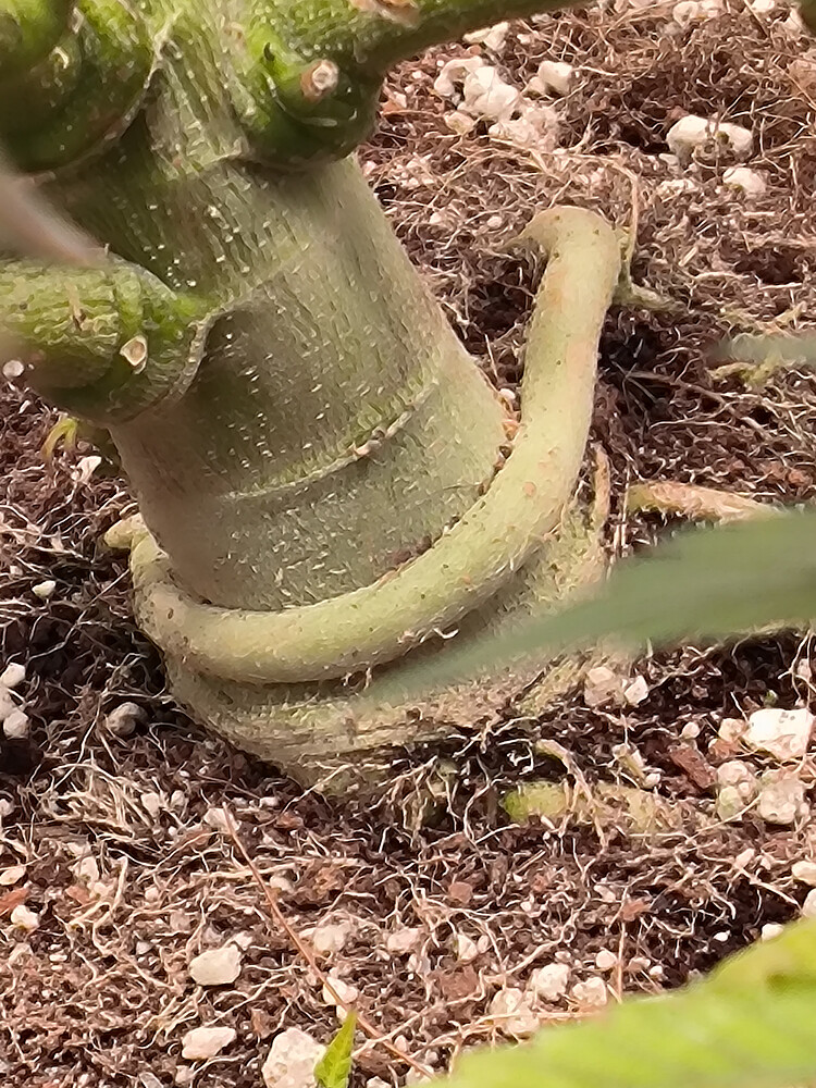 Growreport Bild 20