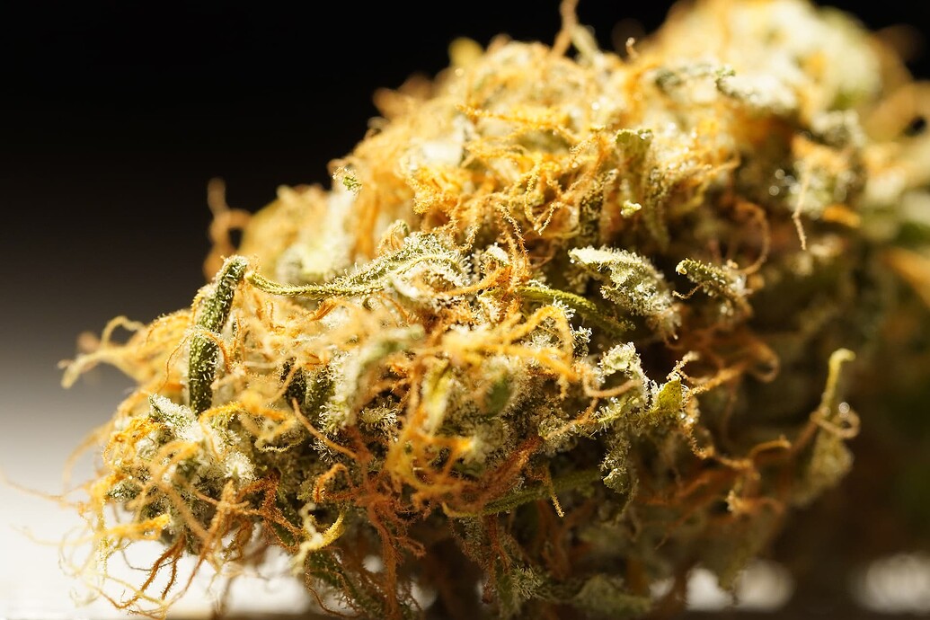 Growreport Bild 7