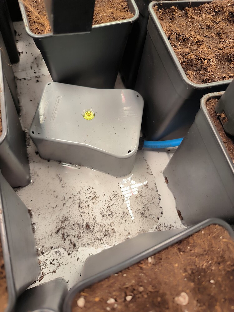 Ein graues Bewässerungssystem mit integrierter Wasserwaage steht in einer flachen Wanne, umgeben von mehreren Pflanztöpfen, die mit Erde gefüllt sind.