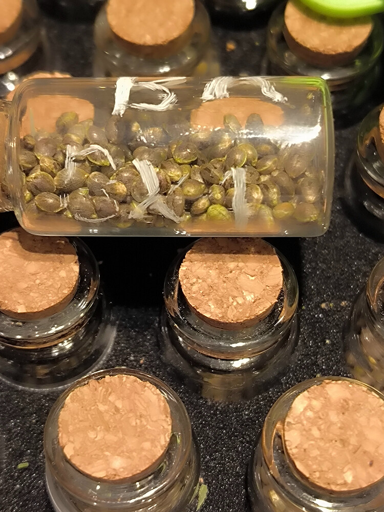 Growreport Bild 6