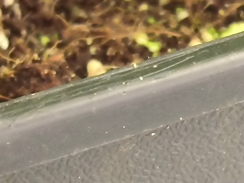 Growreport Bild 5