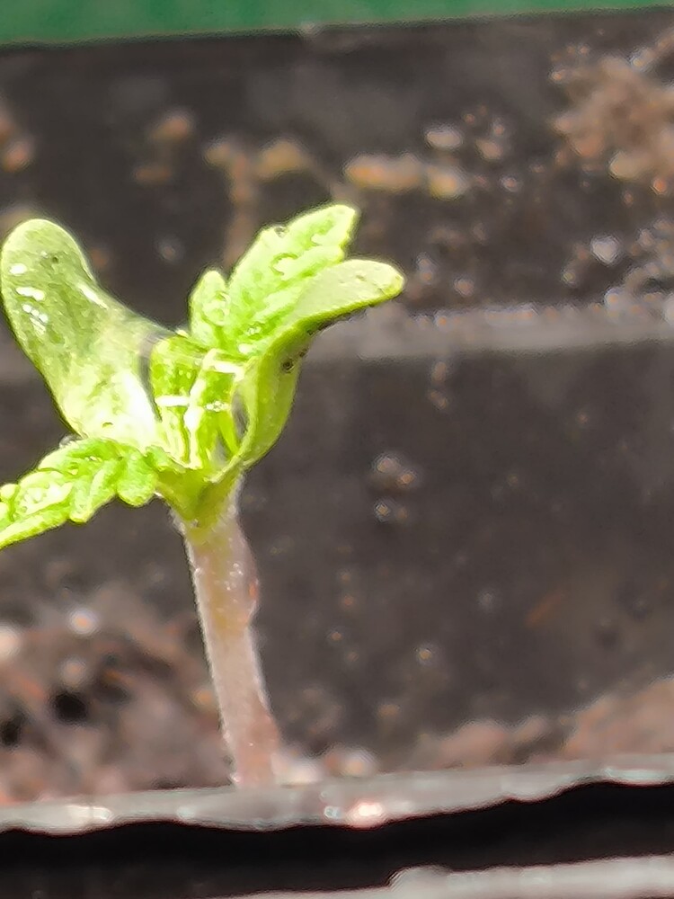 Growreport Bild 13