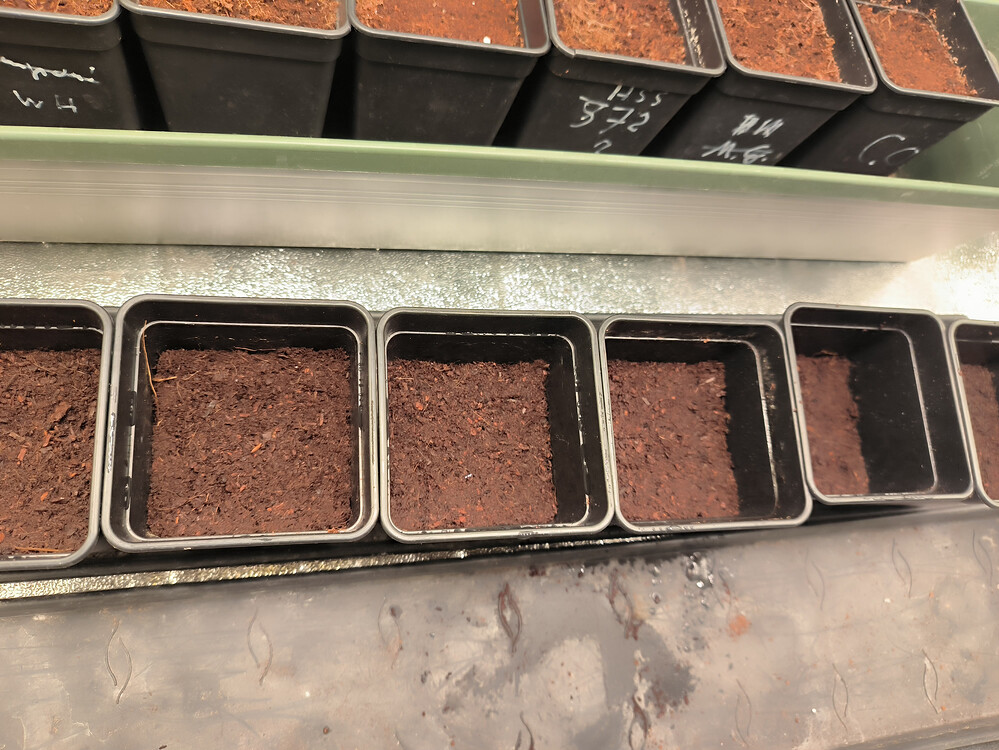 Growreport Bild 4