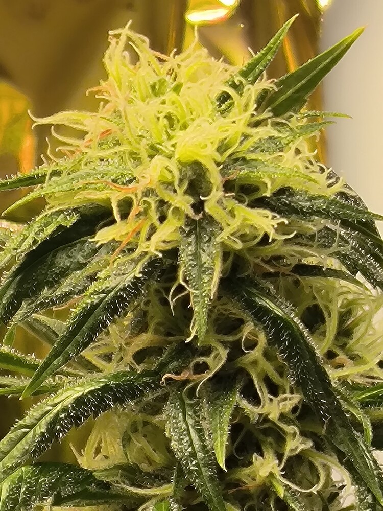Growreport Bild 17