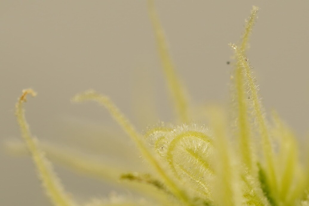 Growreport Bild 8
