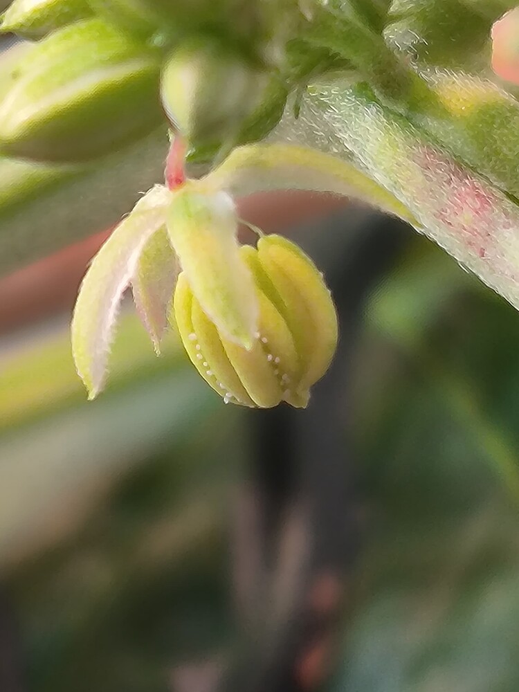 Growreport Bild 22