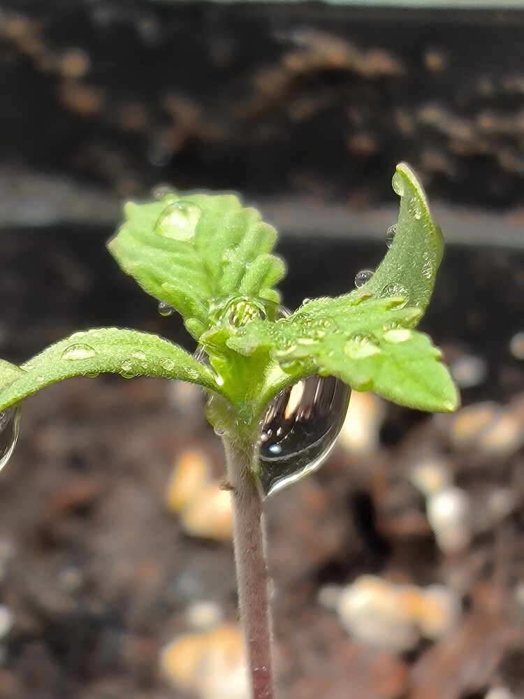 Growreport Bild 16