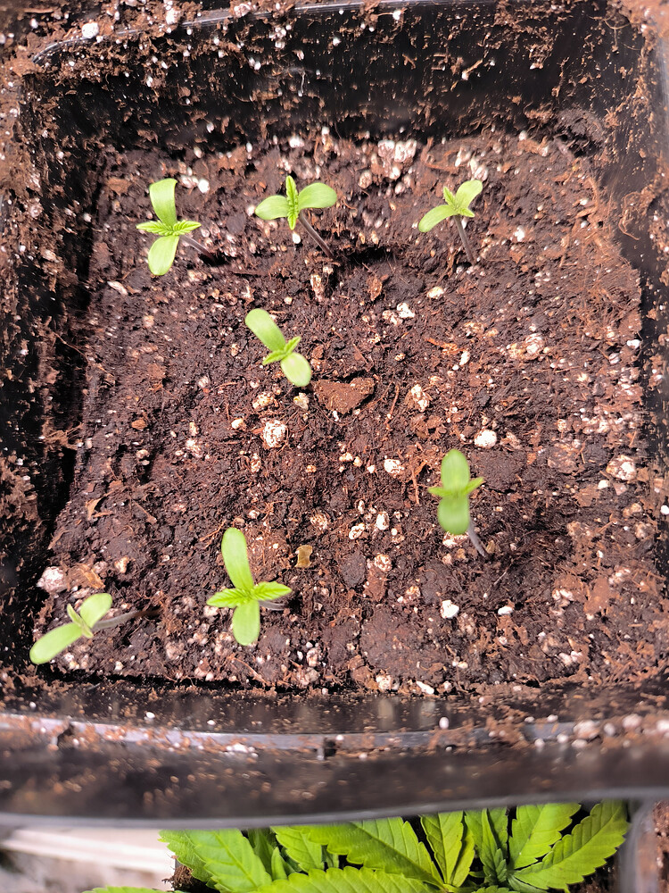 Growreport Bild 15