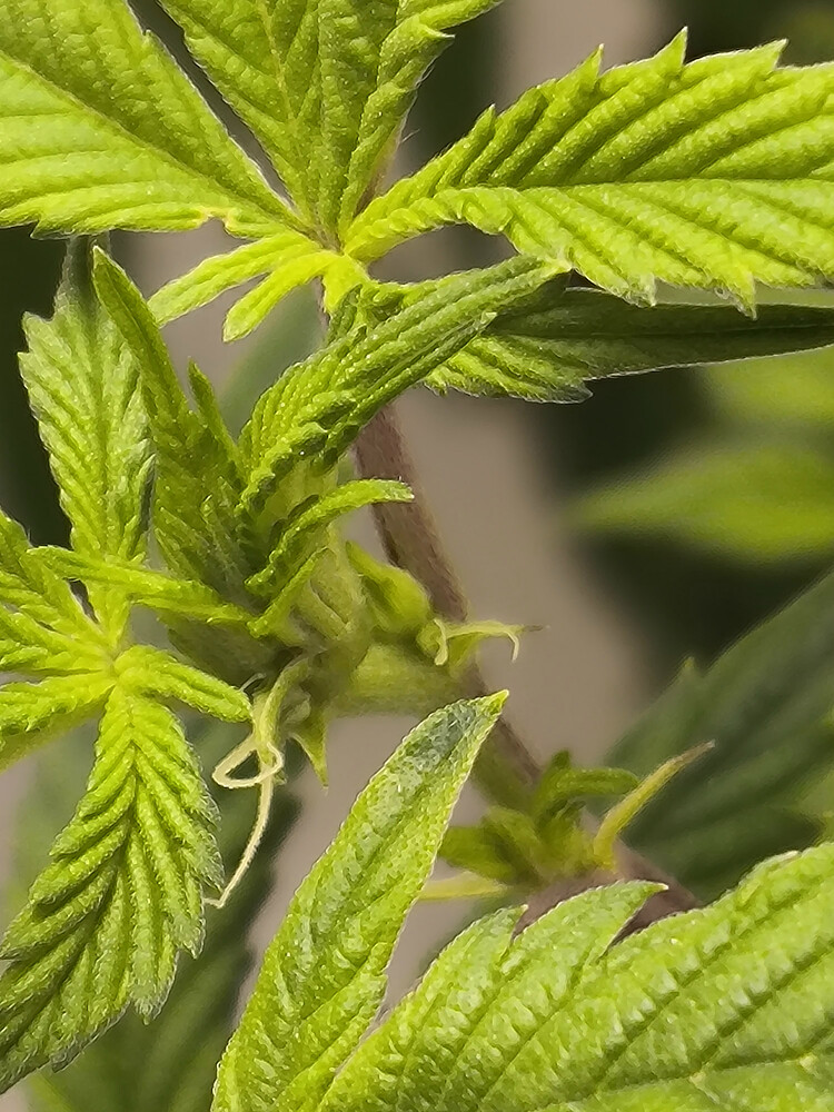 Growreport Bild 12