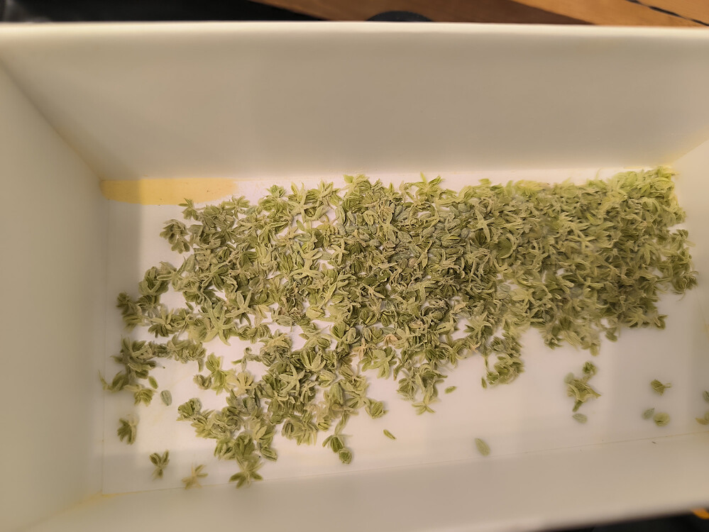 Growreport Bild 2