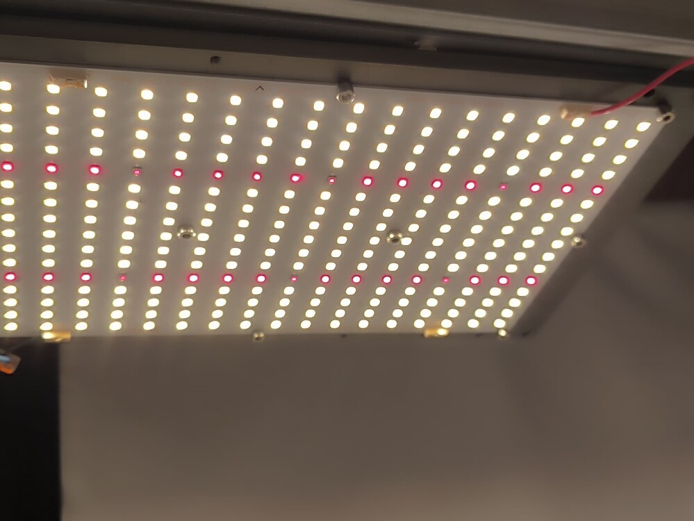 Eine LED-Pflanzenlampe mit weißen und roten LEDs, die von unten fotografiert wurde.