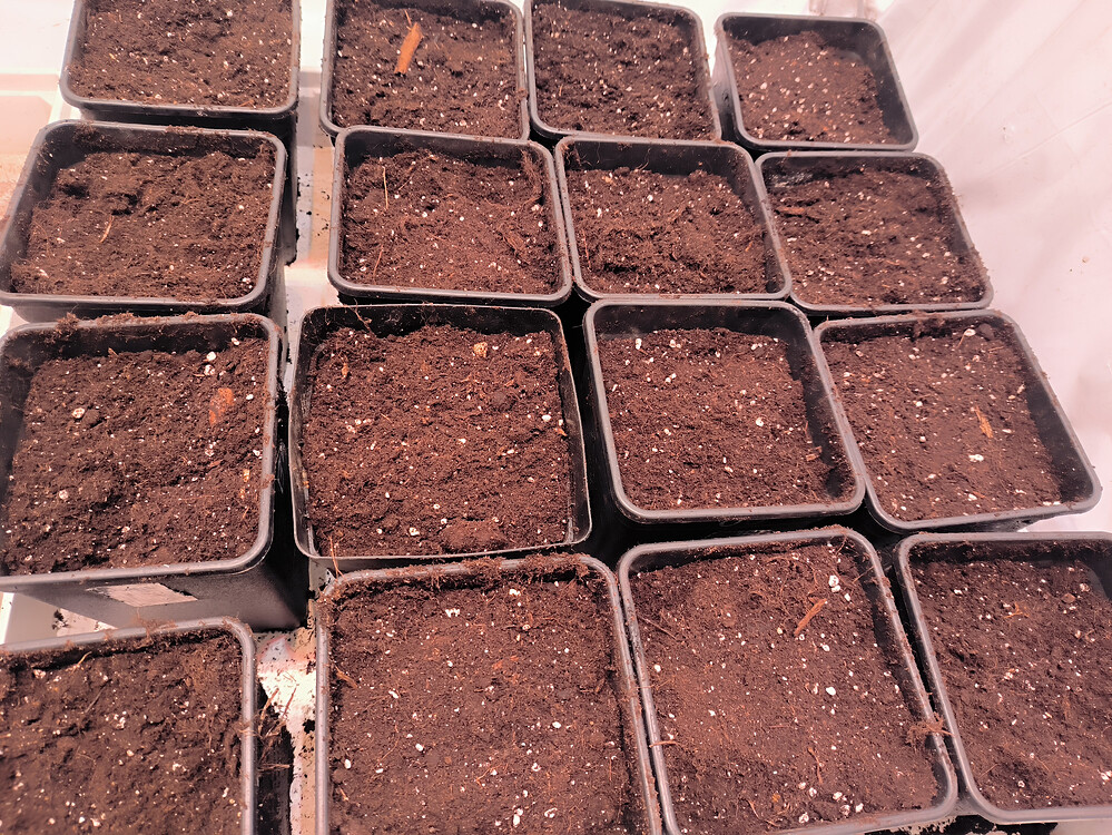 Growreport Bild 2