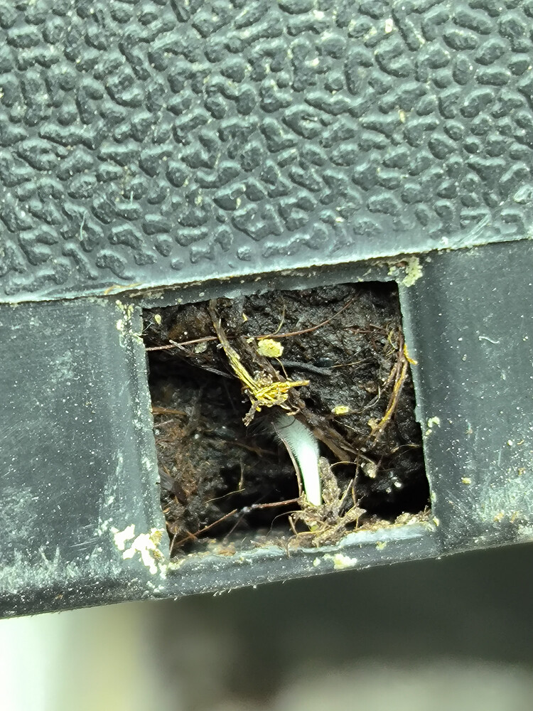 Growreport Bild 2