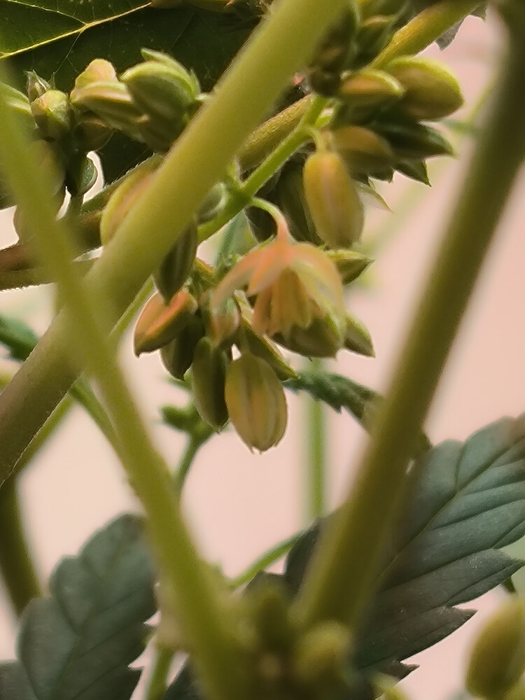 Growreport Bild 2