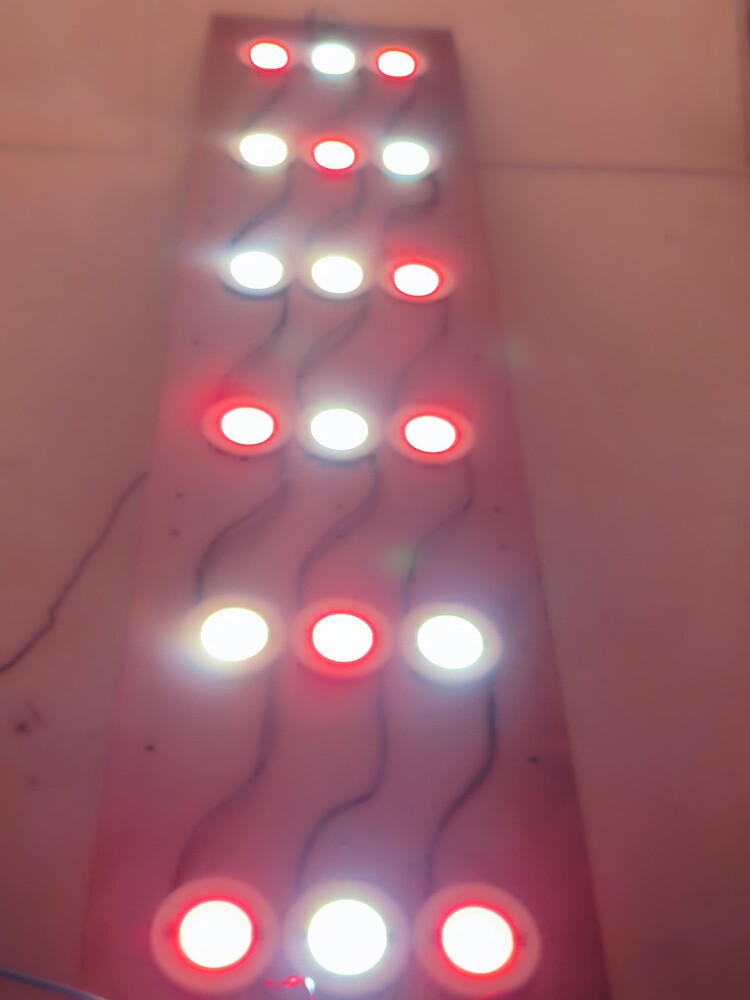 Eine LED-Pflanzenlampe mit mehreren roten und weißen Lichtern, die auf einer Holzplatte montiert ist.