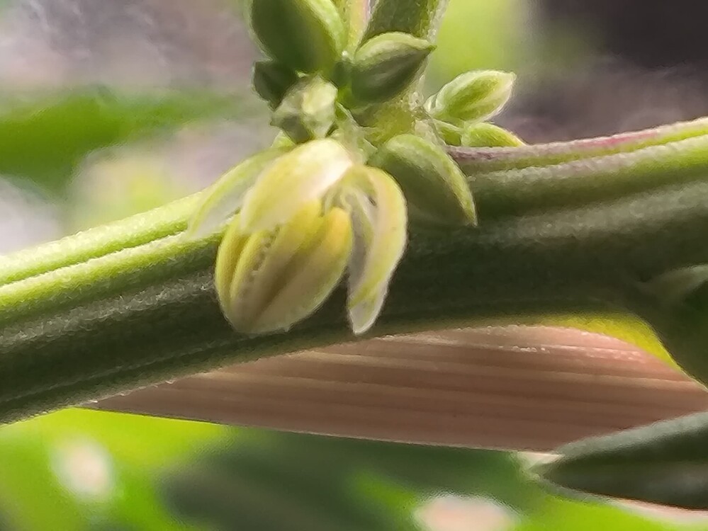 Growreport Bild 24