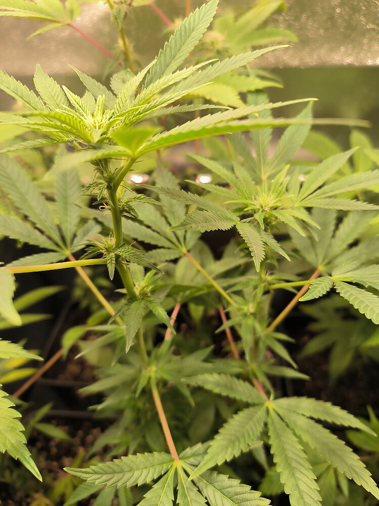 Growreport Bild 10
