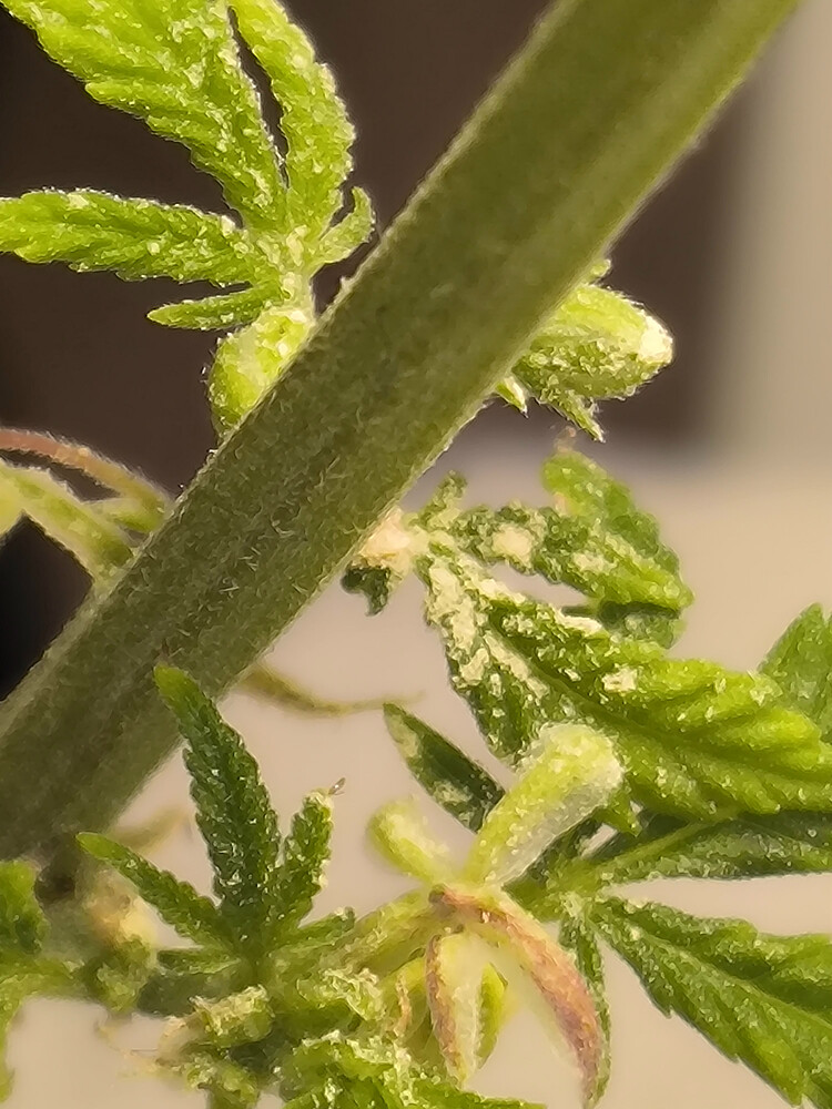 Growreport Bild 8