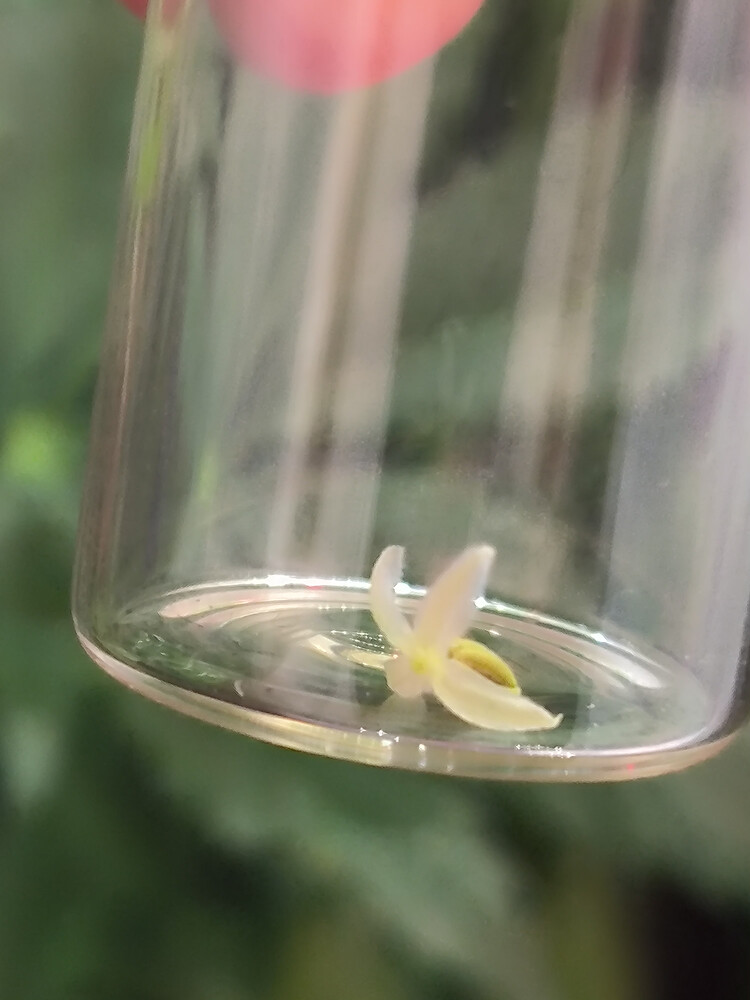 Growreport Bild 9