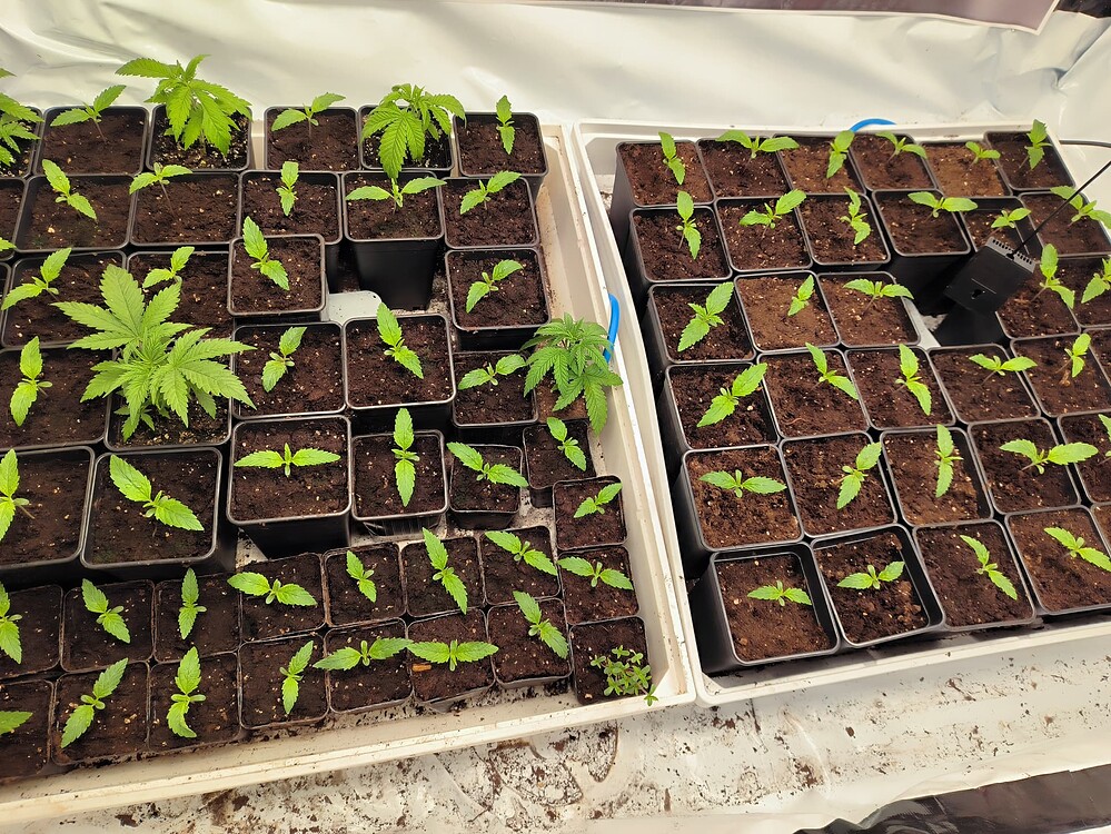 Growreport Bild 12