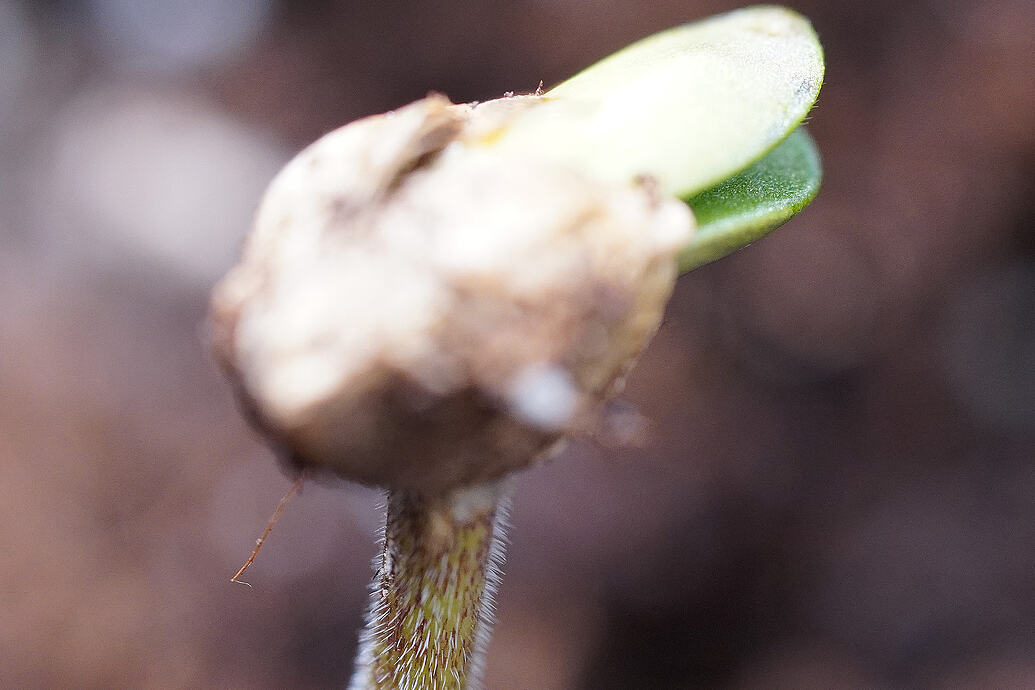 Growreport Bild 13