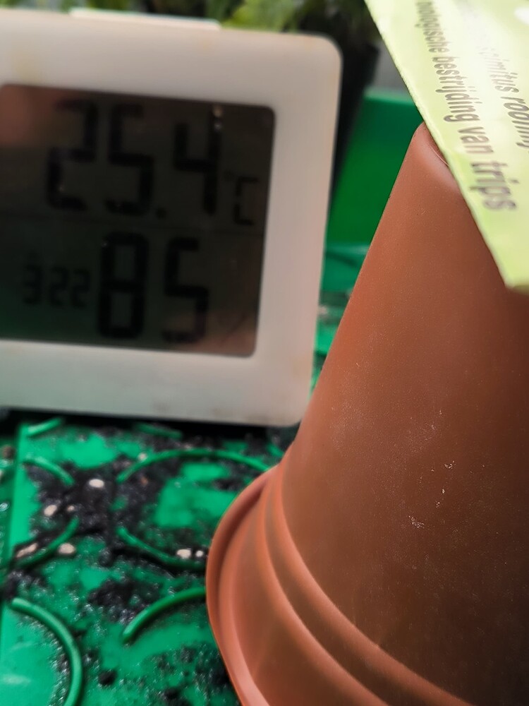Growreport Bild 5