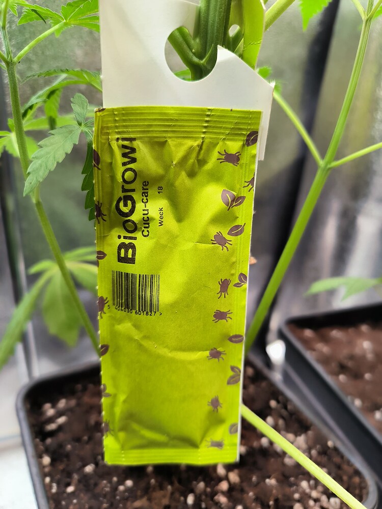 Growreport Bild 22