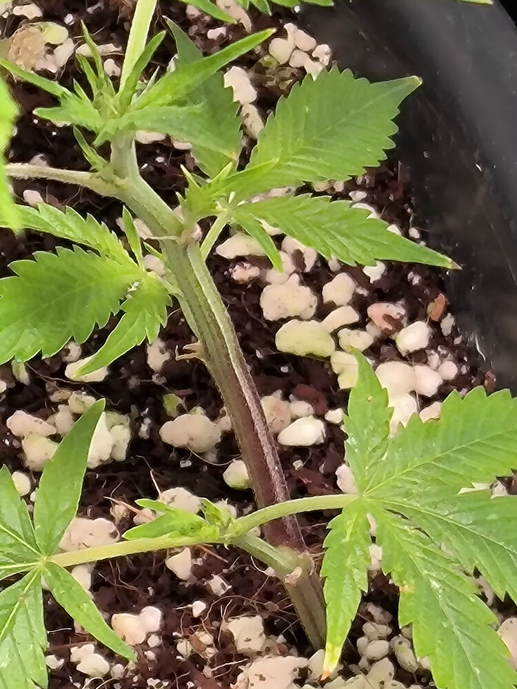 Growreport Bild 10