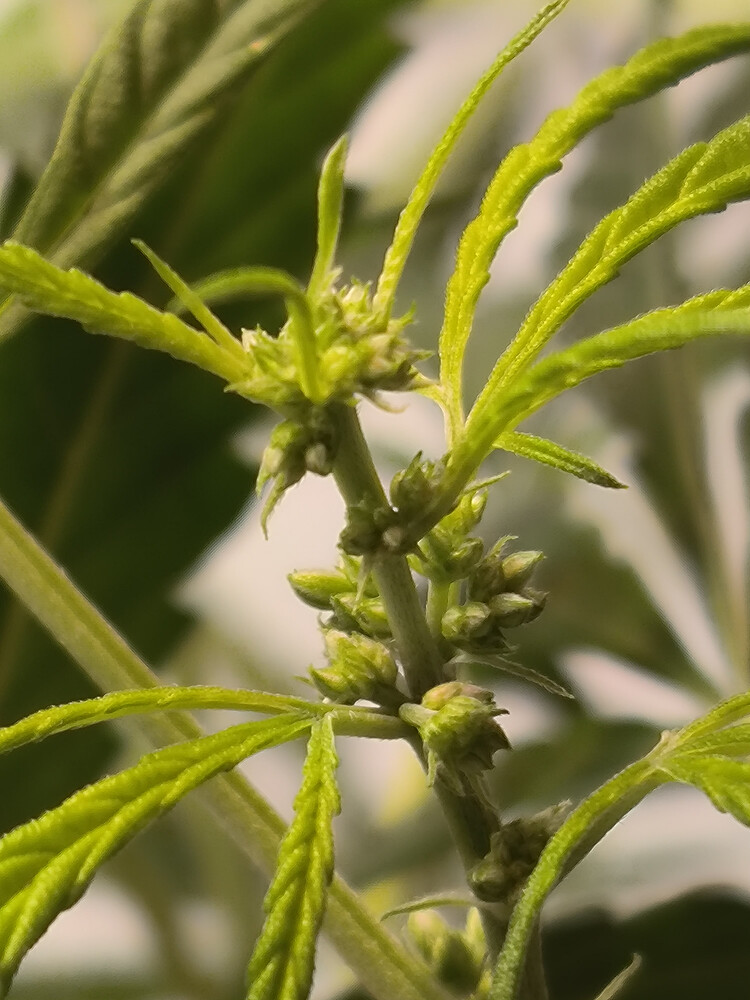 Growreport Bild 2