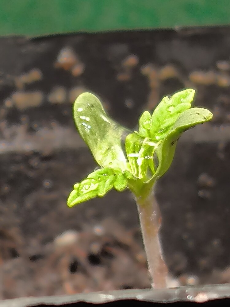 Growreport Bild 14