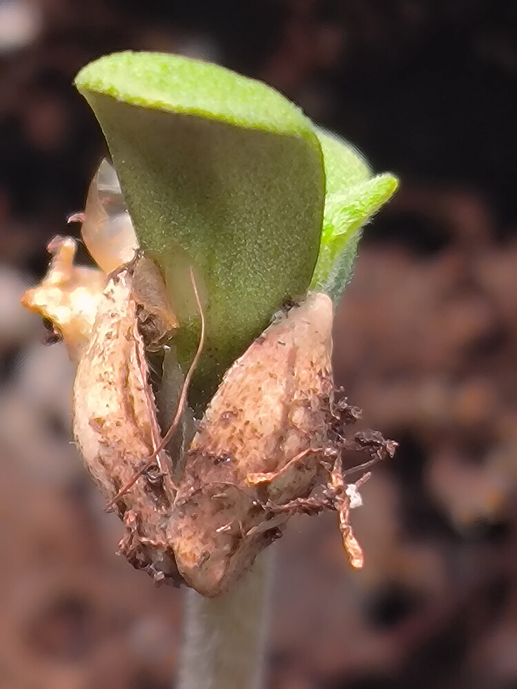 Growreport Bild 16