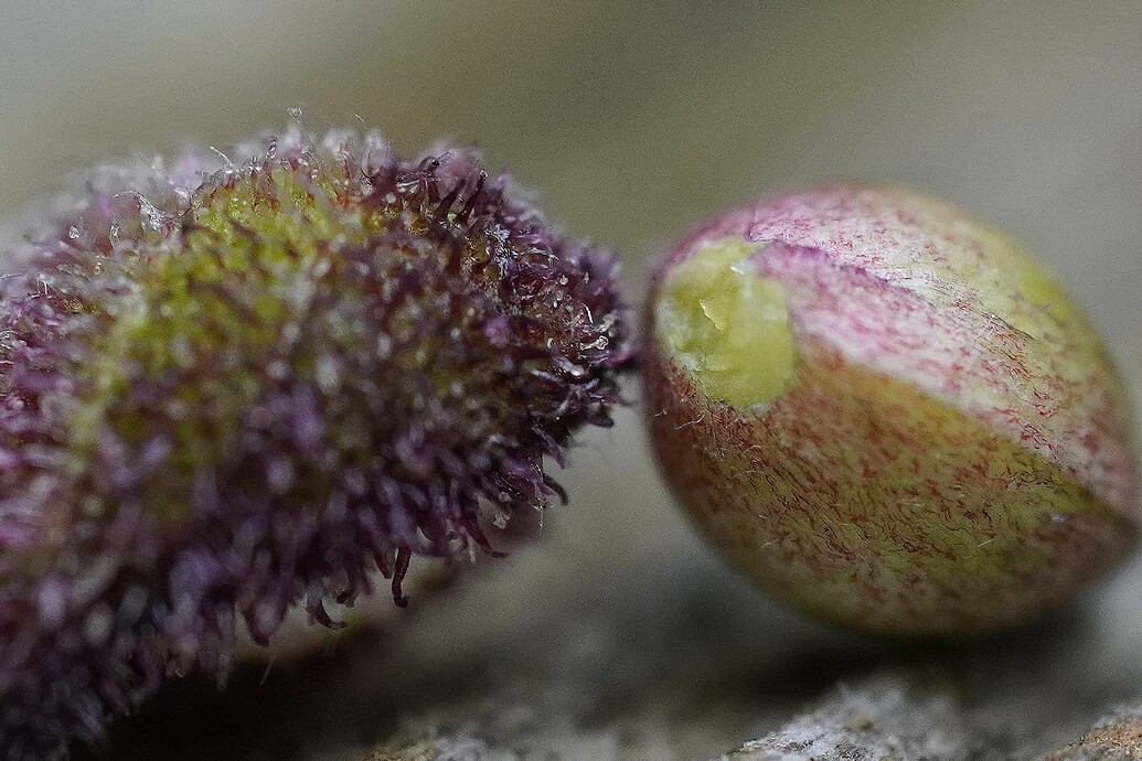 Growreport Bild 6