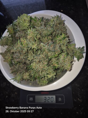 Growreport Bild 72