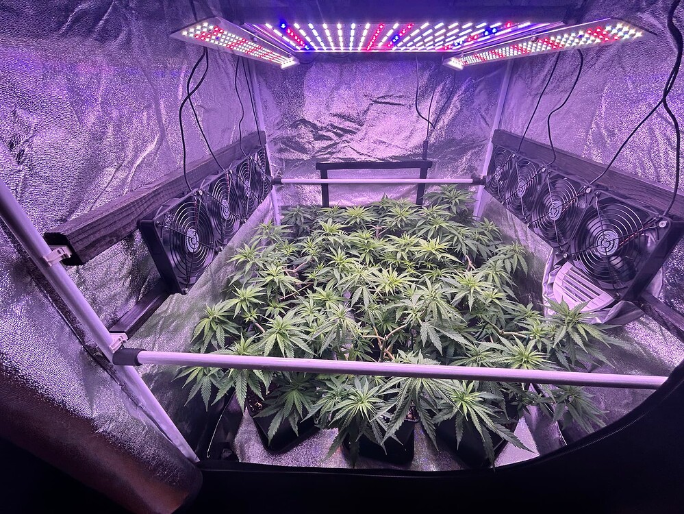 Growreport Bild 6