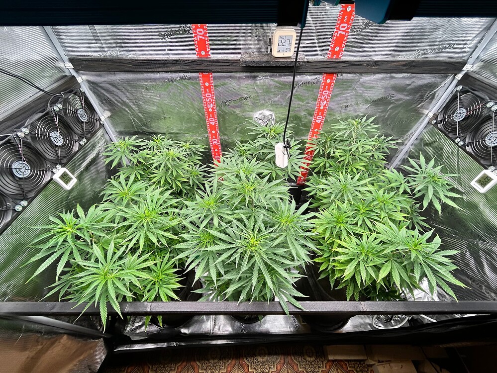 Growreport-Bild