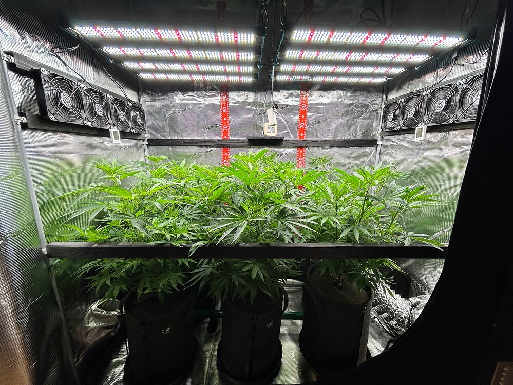 Growreport Bild 1