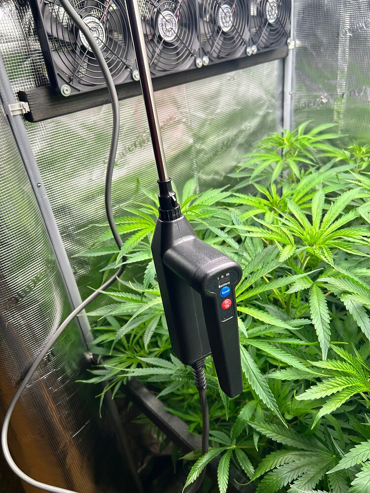 Eine Nahaufnahme einer Cannabis-Pflanze im Wuchsstadium, gehalten in einem Growzelt. Im Vordergrund ist ein Messgerät mit einem langen Stab und einem schwarzen Griff zu sehen, das über ein Kabel mit einer externen Stromquelle verbunden ist. Das Gerät hat Knöpfe mit der Aufschrift 'Battery', 'On/Off' und 'Bluetooth'. Im Hintergrund sind mehrere Lüfter an.