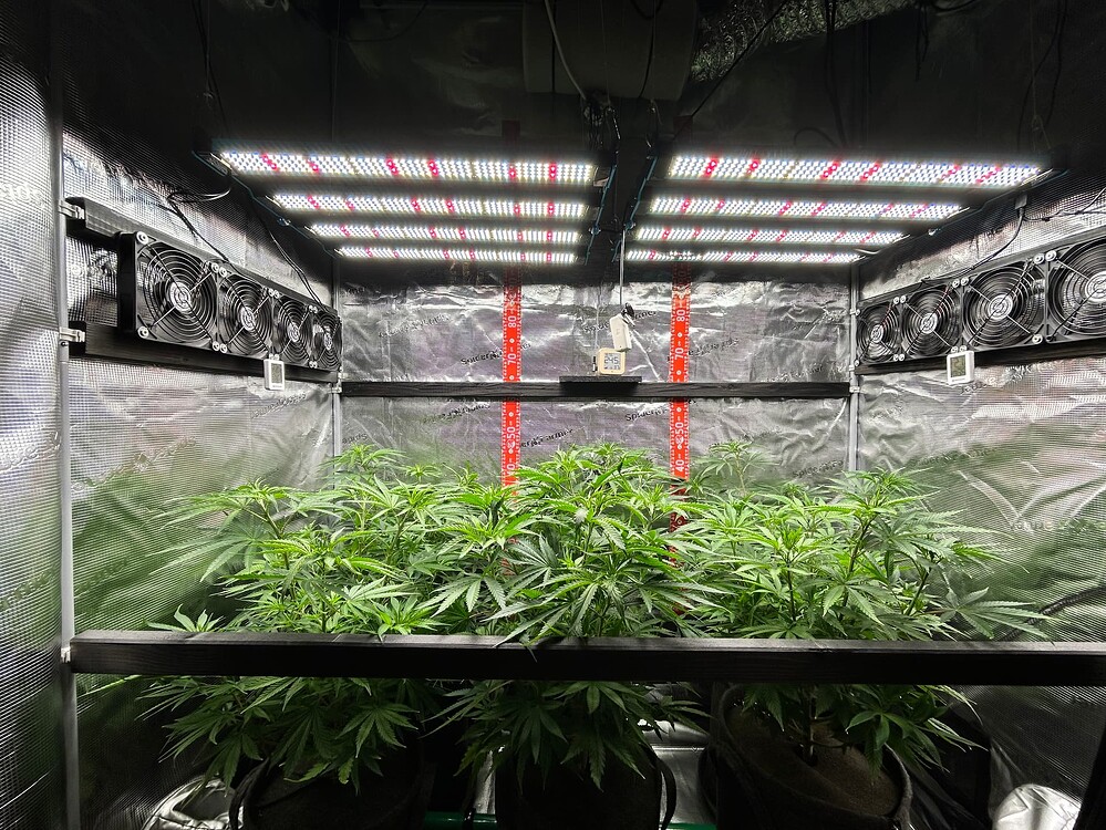 Growreport Bild 6