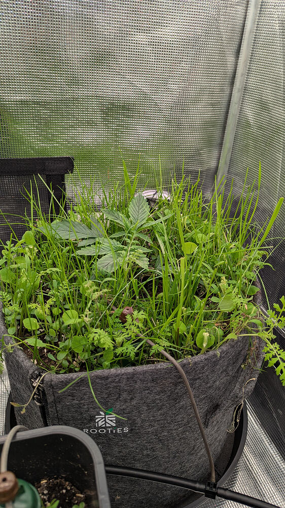 Growreport Bild 16