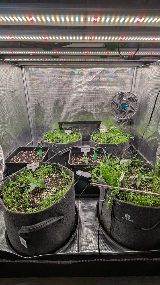Growreport Bild 4