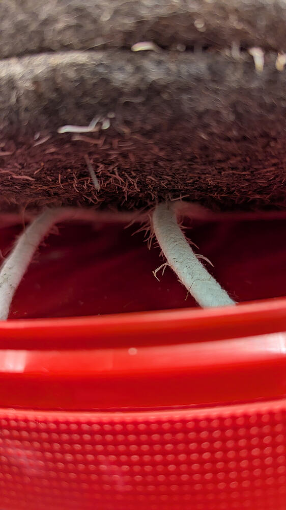Growreport Bild 1