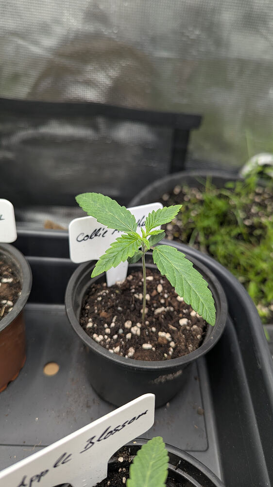 Growreport Bild 12