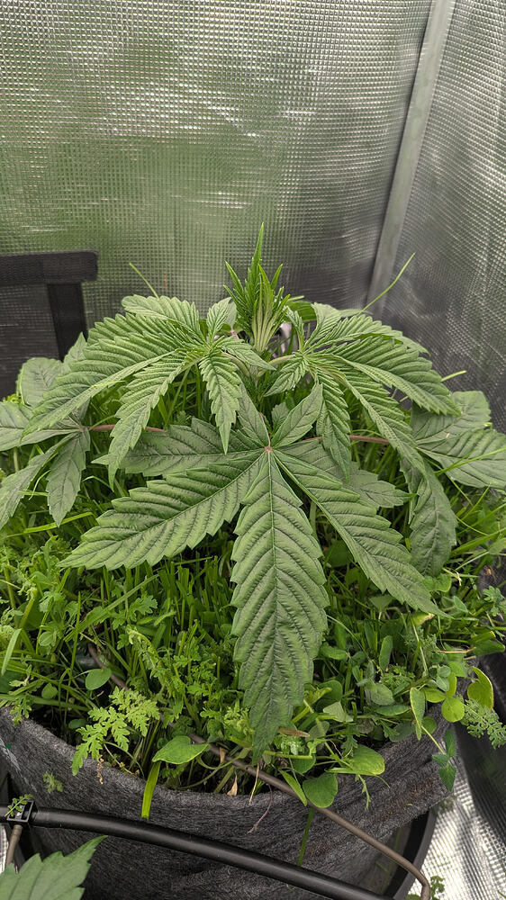 Growreport Bild 10