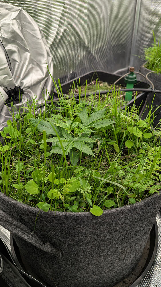 Growreport Bild 11
