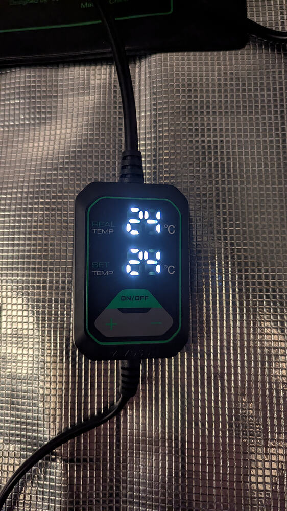 Ein digitales Thermometer mit einem schwarzen Gehäuse und grünen Akzenten zeigt eine aktuelle Temperatur von 24°C und eine eingestellte Temperatur von 24°C an. Es ist an ein Kabel angeschlossen und liegt auf einer reflektierenden Oberfläche.